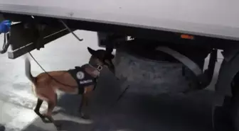 Iğdır'da İran Plakalı TIR'da 5 Paket Eroin Ele Geçirildi