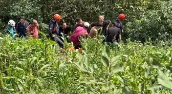 Giresun'da Kamyonet Uçurumdan Düştü: 1 Ölü, 1 Yaralı
