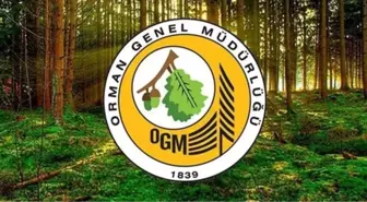 OGM PERSONEL ALIMI BAŞVURU: Orman Genel Müdürlüğü (OGM) personel alımı ne zaman? OGM personel alımı başvuru şartları neler?