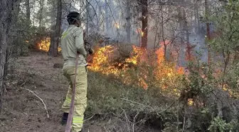 Osmaniye'de Ormanda Yangın Kontrol Altına Alındı