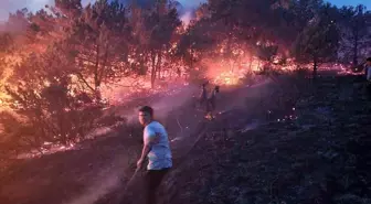Geyve ilçesinde makilik alanda yangın çıktı