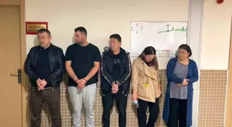 Sanatçı Nalan Höke Turan, Vize Dolandırıcılığı Kurbanı Oldu