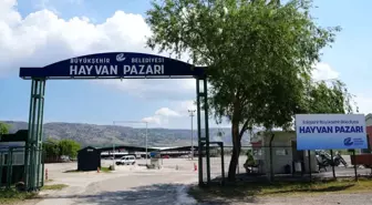 Eskişehir'de Şap Hastalığı Nedeniyle Hayvan Pazarı Kapatıldı