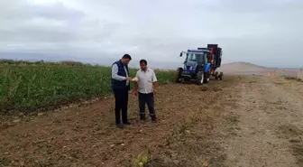 Vezirköprü'de Şeker Pancarı Hasat Dönemi Başladı