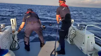 Bodrum'da Yüzerek Yunanistan'a Geçmeye Çalışan 5 Kaçak Göçmen Yakalandı