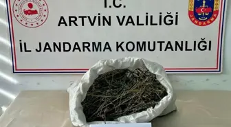 Artvin'de Uyuşturucu Operasyonu: 1 Kilo Esrar Ele Geçirildi