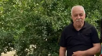 Ceviz Toplarken Ağaçtan Düşüp Hayatını Kaybetti