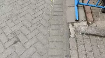 Gaziosmanpaşa'da Ağızlığı Olmayan Pitbull Köpeği Saldırdı