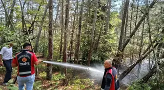 Kastamonu'da Orman Yangını Kontrol Altına Alındı