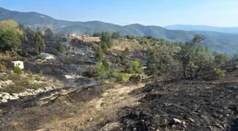 Bursa'da Piknik Yangını: Helikopterle Müdahale