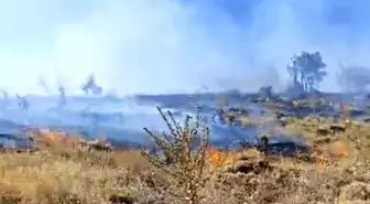 Adıyaman'da Orman Yangını: Geven Bitkisi ve Meşe Ağaçları Zarar Gördü