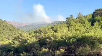 Adıyaman'da Orman Yangını Kontrol Altına Alındı