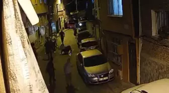 Beyoğlu'nda Akraba Kavgası: Silahlı Saldırı
