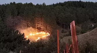 Bingöl'ün Genç İlçesinde Orman Yangını Kontrol Altına Alındı