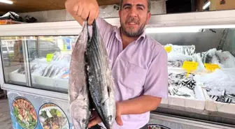 Kahramanmaraş'ta Balık İhracatı ve Yeni Pazar