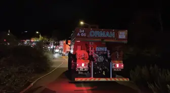 Beykoz'da Ormanda Yangın Çıktı, İtfaiye Ekipleri Zamanında Müdahale Etti