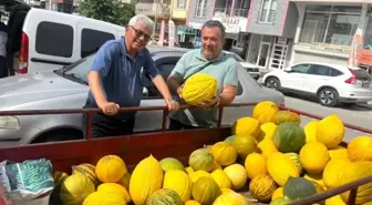 Kuruçay Kavunlarının Hasadı Başladı
