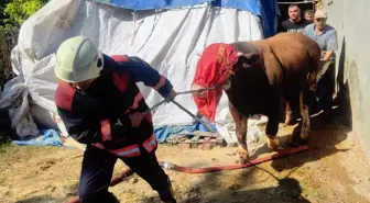 Malatya'da Ahırda Yangın Çıktı, İtfaiye Müdahale Etti