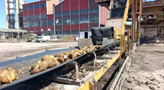 Malatya Şeker Fabrikası, 2025-2026 Sezonunda 62 Bin Ton Şeker Üretmeyi Hedefliyor