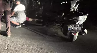 Mudanya'da Trafik Kazası: Bekçi B.Ü. Serbest Kaldı