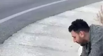 Bursa Uludağ Yolunda Bir Tilki ve Vatandaş Arasındaki Dostluk