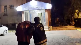 Ağrı'da Düzensiz Göçmen Operasyonu: 6 Kaçak Göçmen ve 1 Organizatör Tutuklandı
