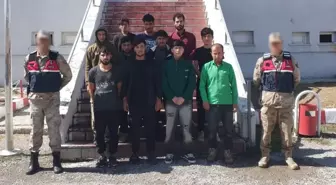 Bitlis'te 11 Kaçak Göçmen ve 2 Organizatör Yakalandı