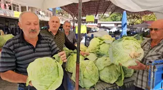 Malatya'nın Gökyar Lahanasında Hasat Sezonu Başladı