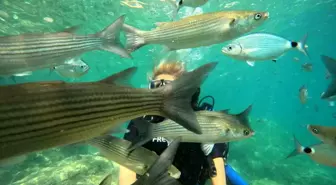 Marmaris, Dalış Turizmiyle Yerli ve Yabancı Turistlerin Gözdesi Oluyor