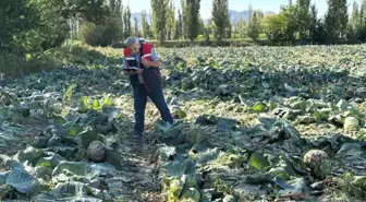 Afyonkarahisar'da Tarım Ürünleri Kontrolleri Devam Ediyor