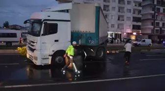 Aksaray'da Kedi Sebebiyle Kaza: Bir Yaralı