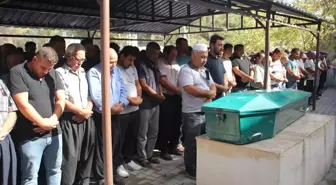 Ceviz Toplamak İçin Ağaca Çıkan Genç, Elektrik Akımına Kapıldı ve Trafik Kazasında Hayatını Kaybetti