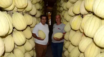 Kırkağaç Kavunu Kış Aylarında Sofralara Geliyor