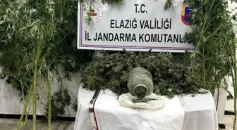 Elazığ'da Uyuşturucu Operasyonu: 1 Tutuklama
