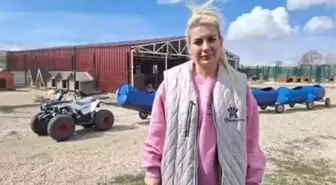 Köpek Sahiplendiren Dernek Başkanı Beraat Etti, Para Cezası Aldı