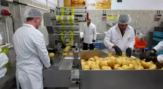 Malatya'da Öğrenciler Ekmek Üreterek Geleceğe Hazırlanıyor
