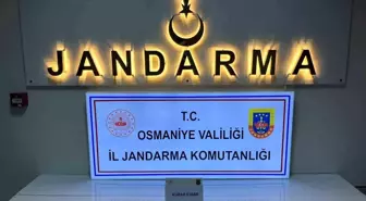Osmaniye'de Asayiş Uygulamaları: 126 Gözaltı ve 10 Tutuklama