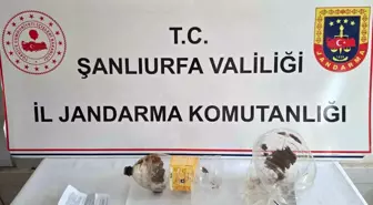 Suruç'ta Jandarma Operasyonu: 4 Gram Uyuşturucu Ele Geçirildi