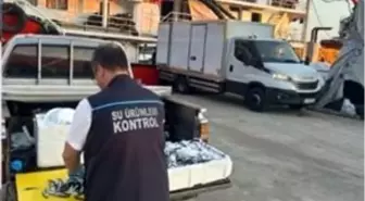 Trabzon'da Hamsi Avına İzin Verilen Noktalar Dışında Çıkarımlara Cezai İşlem