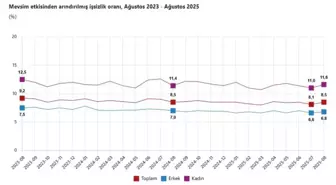 Türkiye'de İşsizlik Oranı Ağustos Ayında Yüzde 8,5'e Yükseldi