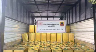 Kahramanmaraş'ta Sahte Zeytinyağı Operasyonu: 3 Bin 200 Litre Ele Geçirildi