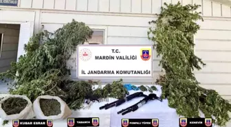 Mardin'de Uyuşturucu Operasyonları: 38 Gözaltı ve Yüksek Miktarda Madde Ele Geçirildi