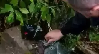 Samsun'da Kaçak Avcılık Operasyonu: Şüpheli Gözaltına Alındı