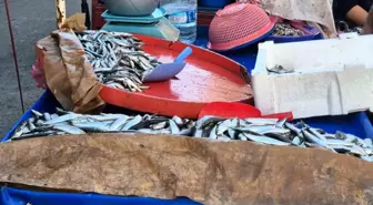 Tekirdağ'da Seyyar Balık Satışı: Sardalya Balığı Öne Çıkıyor