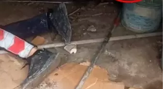 Cizre'de Yavru Kedi İtfaiye Ekipleri Tarafından Kurtarıldı