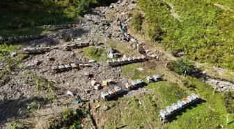 Artvin'deki Sel Arıcılığı Vurdu: 58 Kovan Hasar Gördü