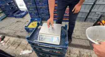 Avcılar'da Zabıta Ekipleri Pazarda Denetim Yaptı