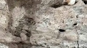 Yozgat'ta toprak altından insan kemikleri çıktı