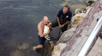 Balıkesir'de Kayalıklara Sıkışan Köpek Kurtarıldı