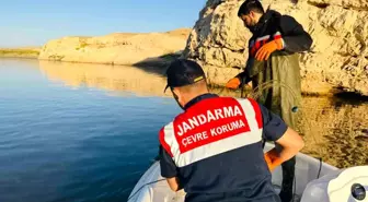 Batman'da Dicle Nehri'nde Hayalet Ağlar Ele Geçirildi